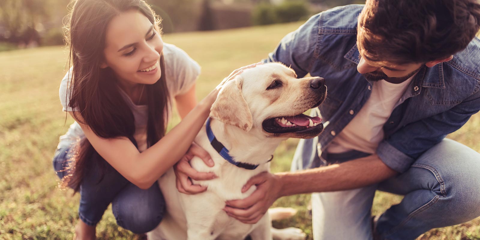 Ein lächelndes Paar sitzt auf einer Wiese und streichelt einen fröhlichen Labrador mit blauem Halsband im Sonnenlicht